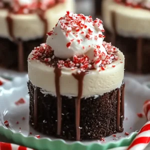 Easy Peppermint Hot Cocoa Cheesecake Bites Recipe